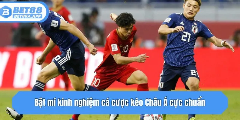 Bật mí kinh nghiệm cá cược kèo Châu Á cực chuẩn