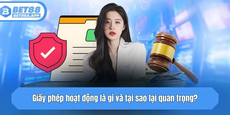 Giấy phép hoạt động là gì và tại sao lại quan trọng?