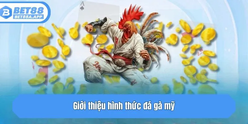 Giới thiệu hình thức đá gà
