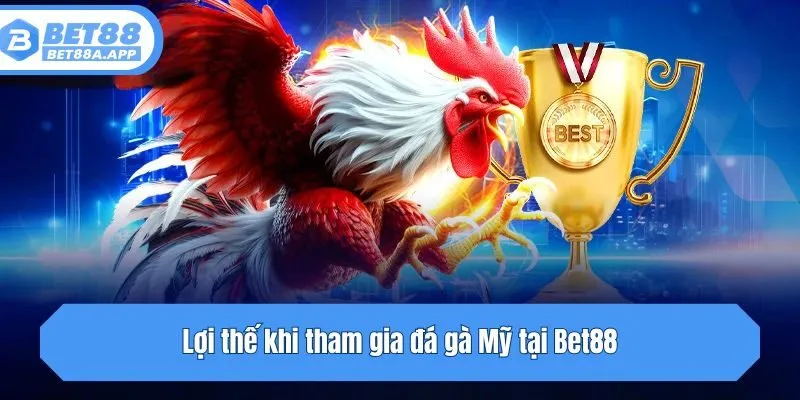 Lợi thế khi tham gia đá gà Mỹ tại Bet88