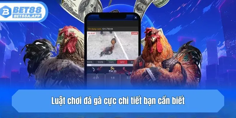 Luật chơi đá gà cực chi tiết bạn cần biết