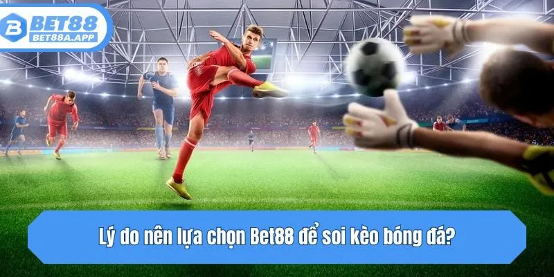 Lý do nên lựa chọn Bet88 để soi kèo bóng đá?