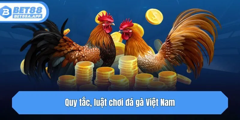 Quy tắc, luật chơi đá gà Việt Nam