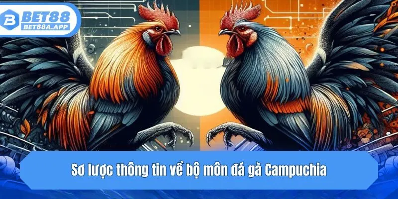 Sơ lược thông tin về bộ môn đá gà Campuchia