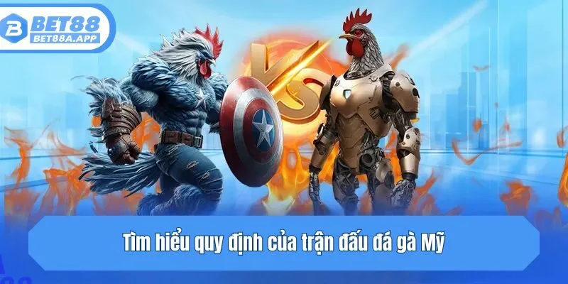 Tìm hiểu quy định của trận đấu đá gà Mỹ