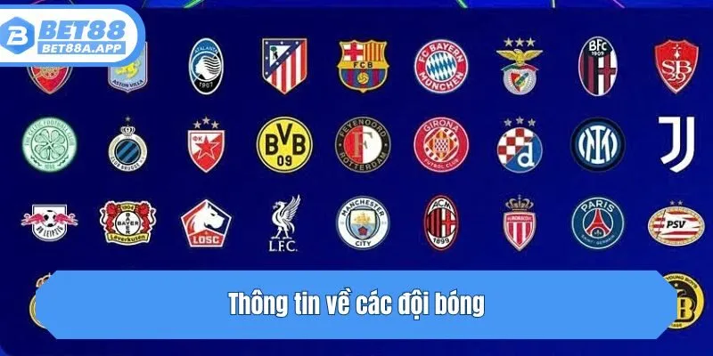 Thông tin về các đội bóng