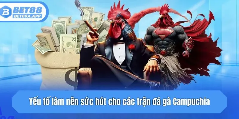 Yếu tố làm nên sức hút cho các trận đá gà Campuchia